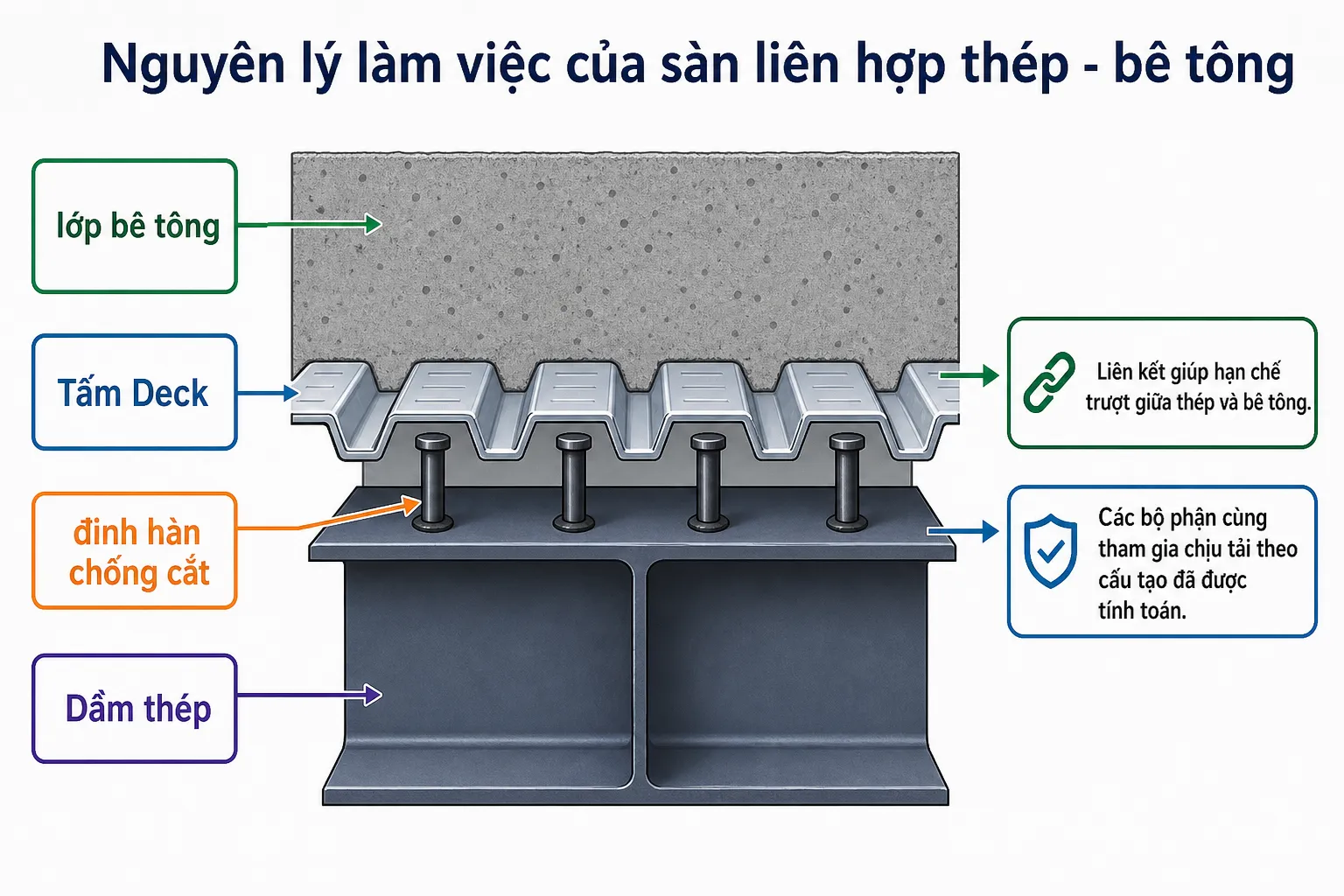 Mặt cắt ngang của sàn liên hợp thép-bê tông, hiển thị lớp bê tông, tấm Deck, đinh hàn chống cắt và dầm thép